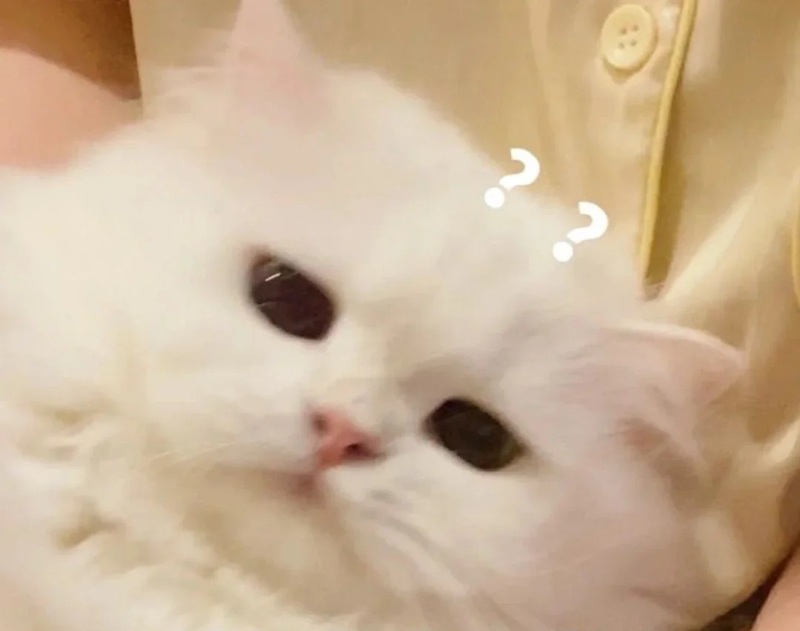 meme khó hiểu 17