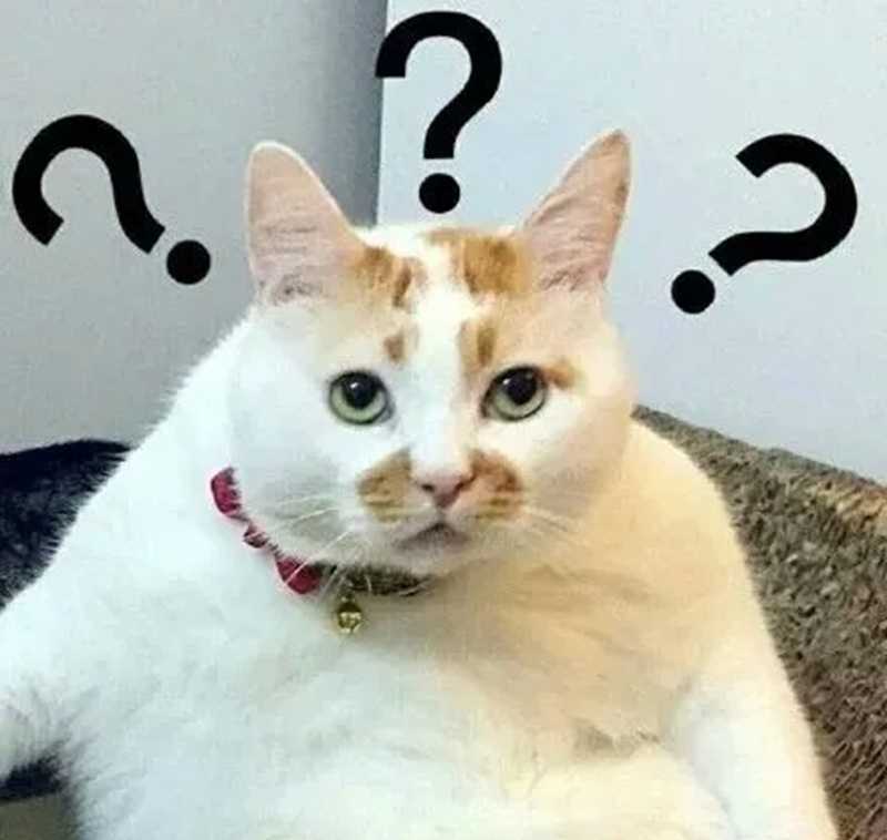meme khó hiểu 26
