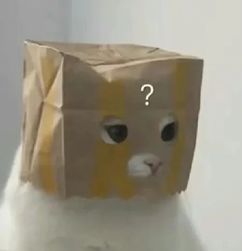 meme khó hiểu 3
