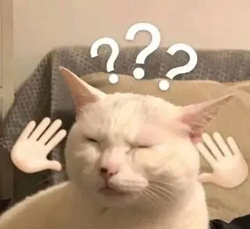 meme khó hiểu 30