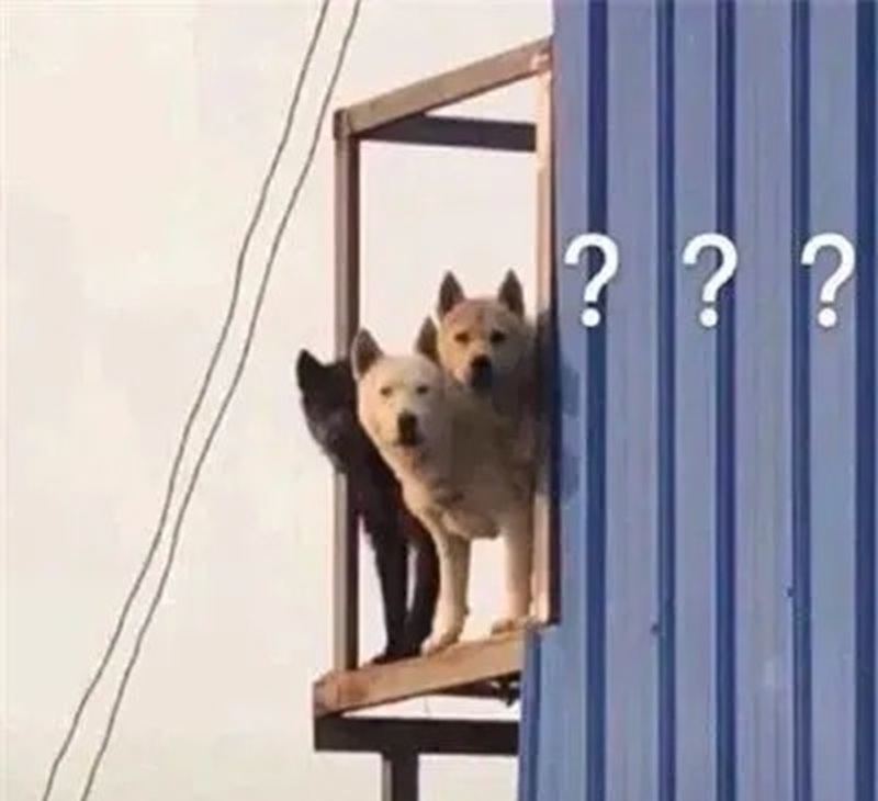 meme khó hiểu 36