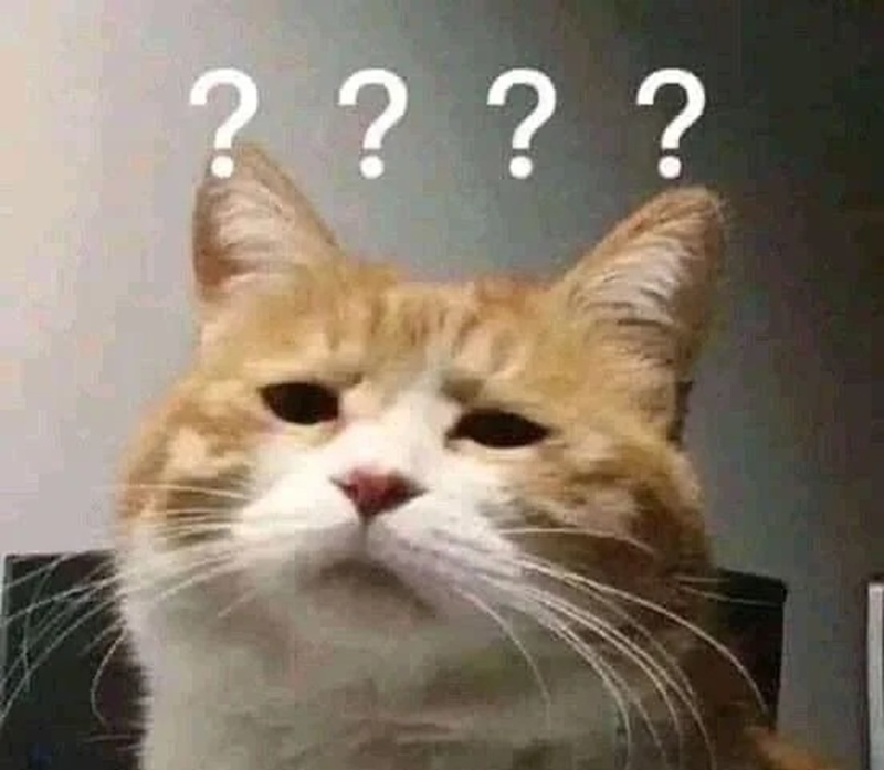 meme khó hiểu 4