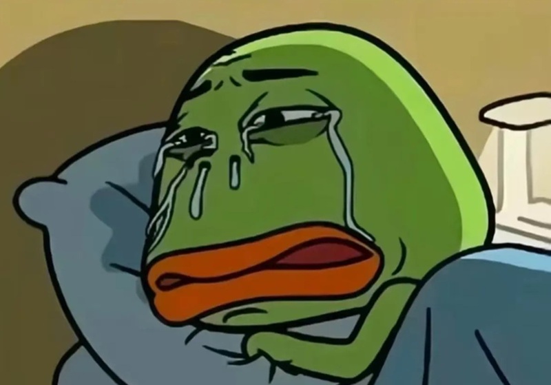 meme khóc 19