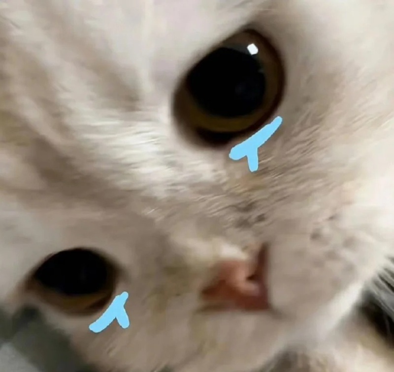223+ Meme Khóc Viral Với Loạt Biểu Cảm Khó Quên