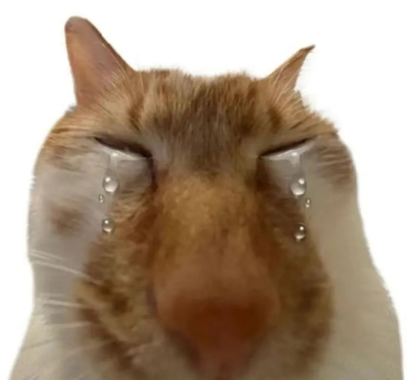 meme khóc 4
