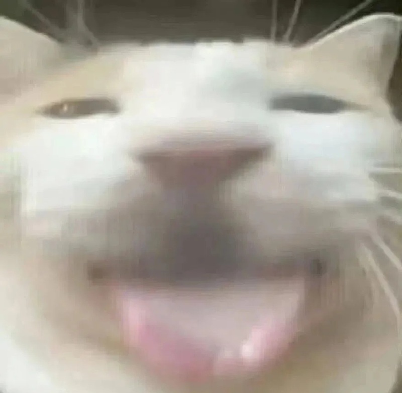 meme lè lưỡi 22
