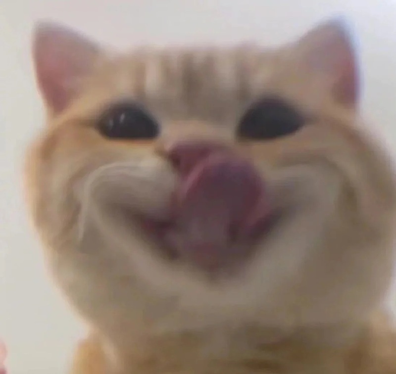 meme lè lưỡi 25