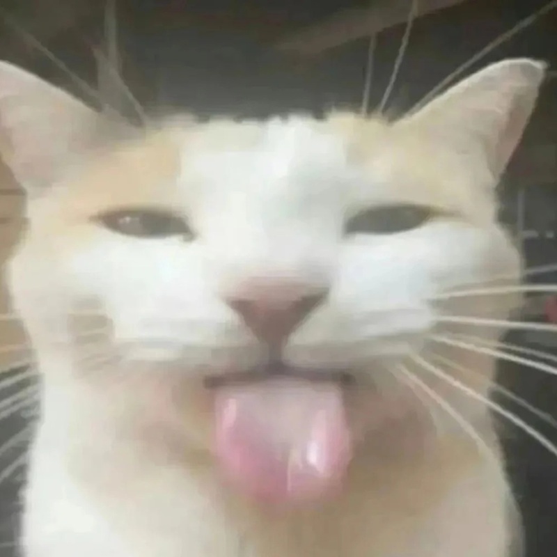 meme lè lưỡi 41