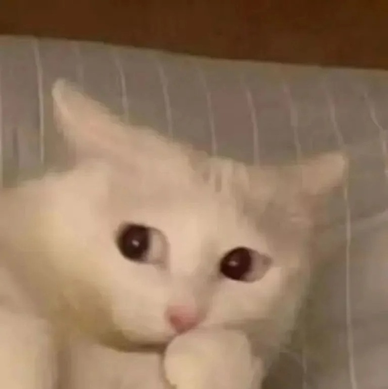 meme liếc 6