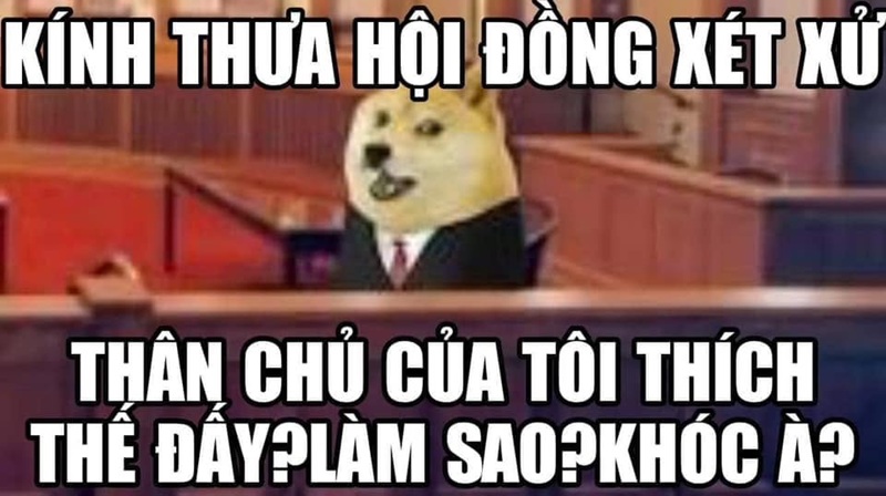 meme luật sư 6