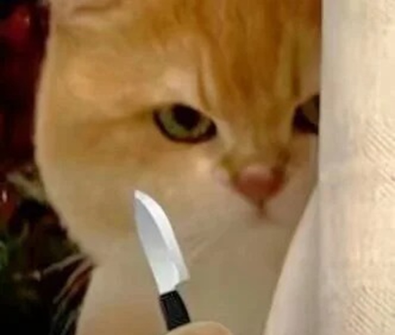 meme lườm 24