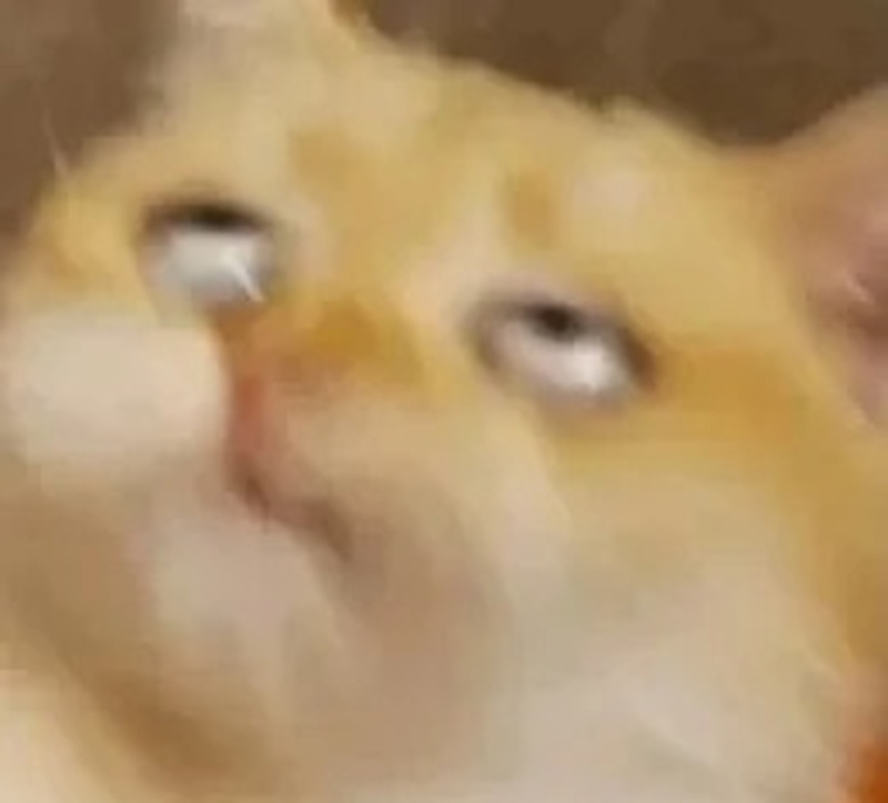 meme lườm 27