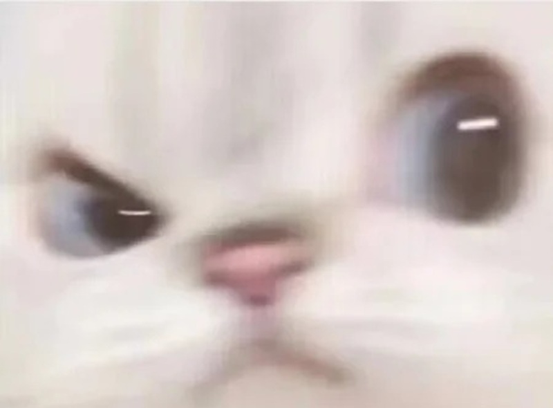 meme lườm 36