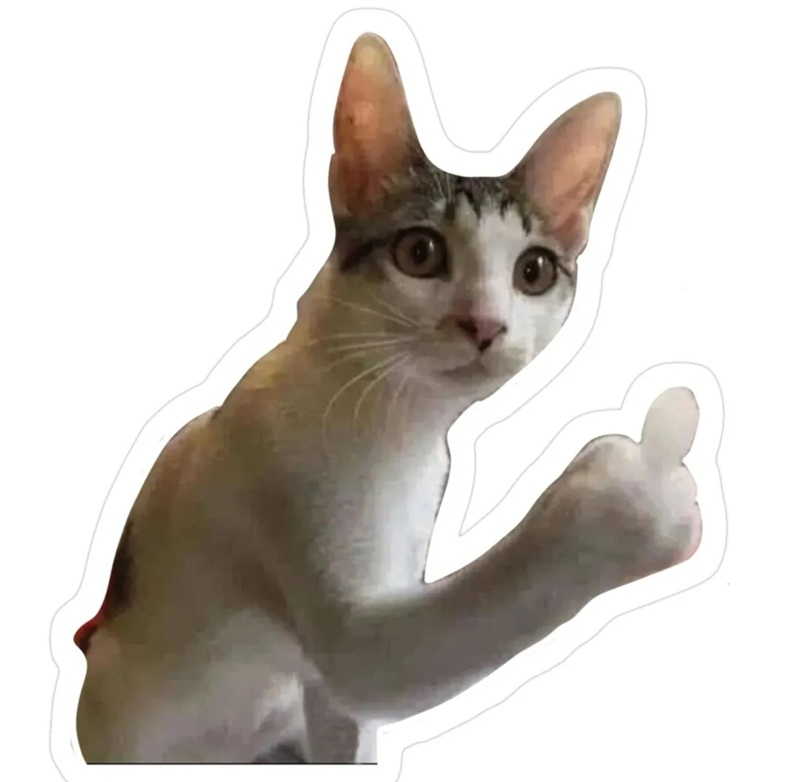 meme mèo bựa 41