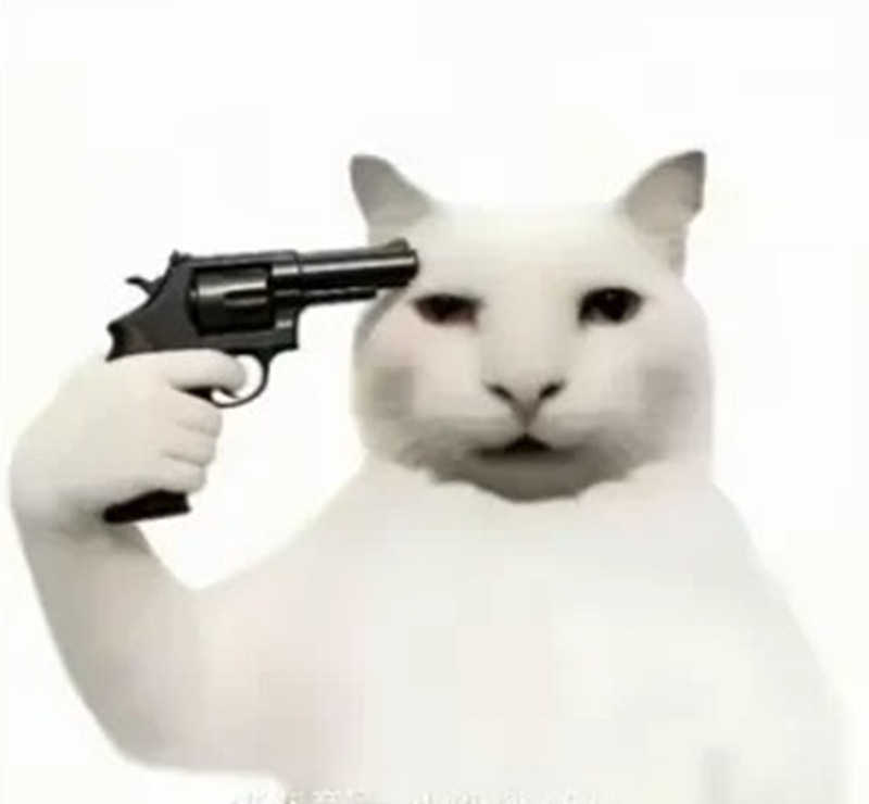 meme mèo cầm súng 31