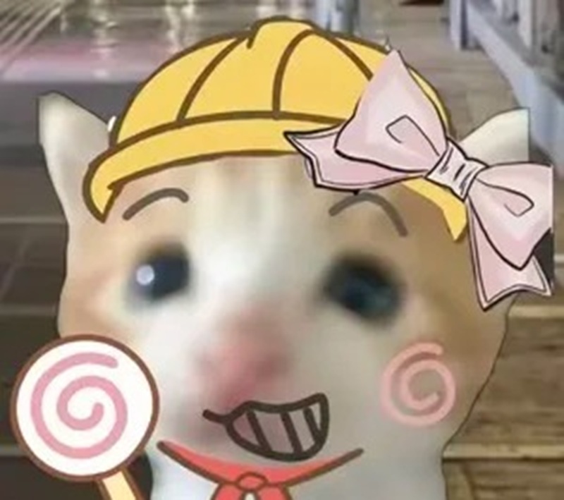 meme mèo cười nhe răng 21
