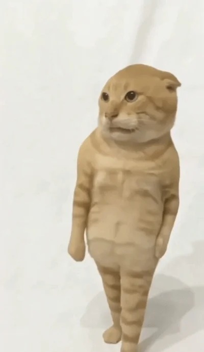 meme mèo hài 35