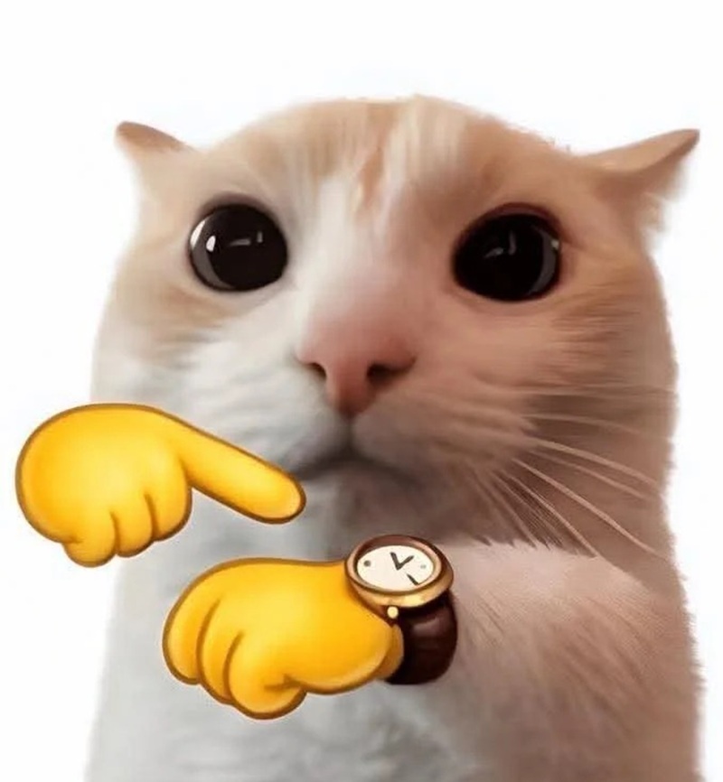 meme mèo hài 37