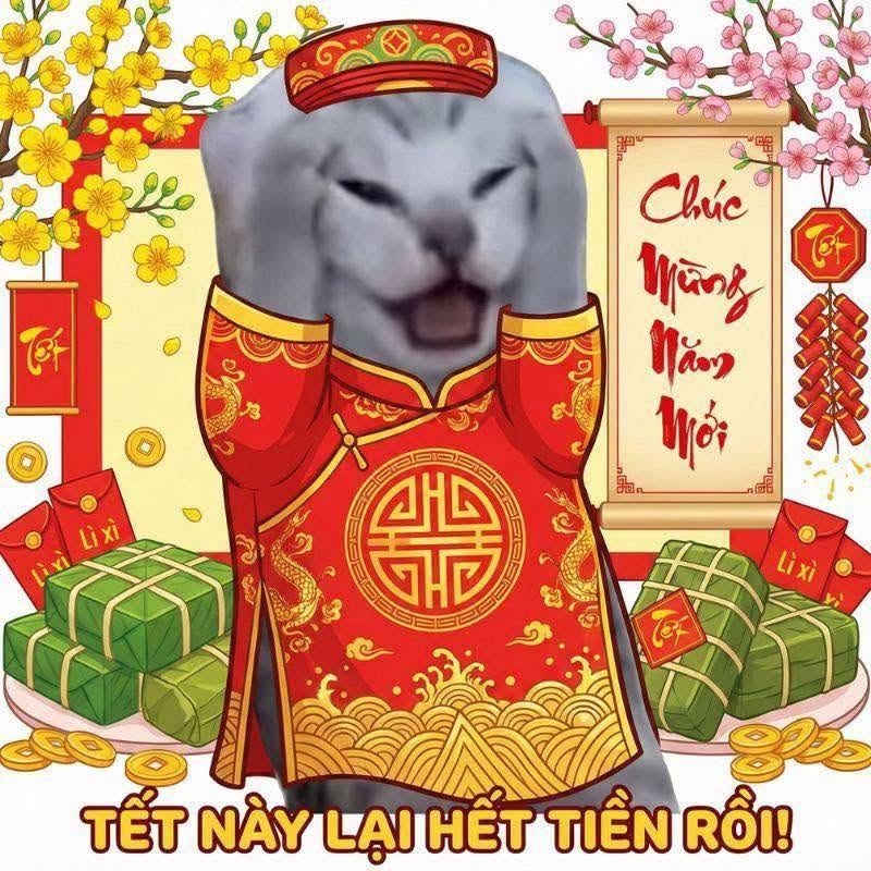 meme mèo ôm đầu 1