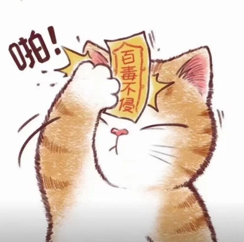 meme mèo ôm đầu 11