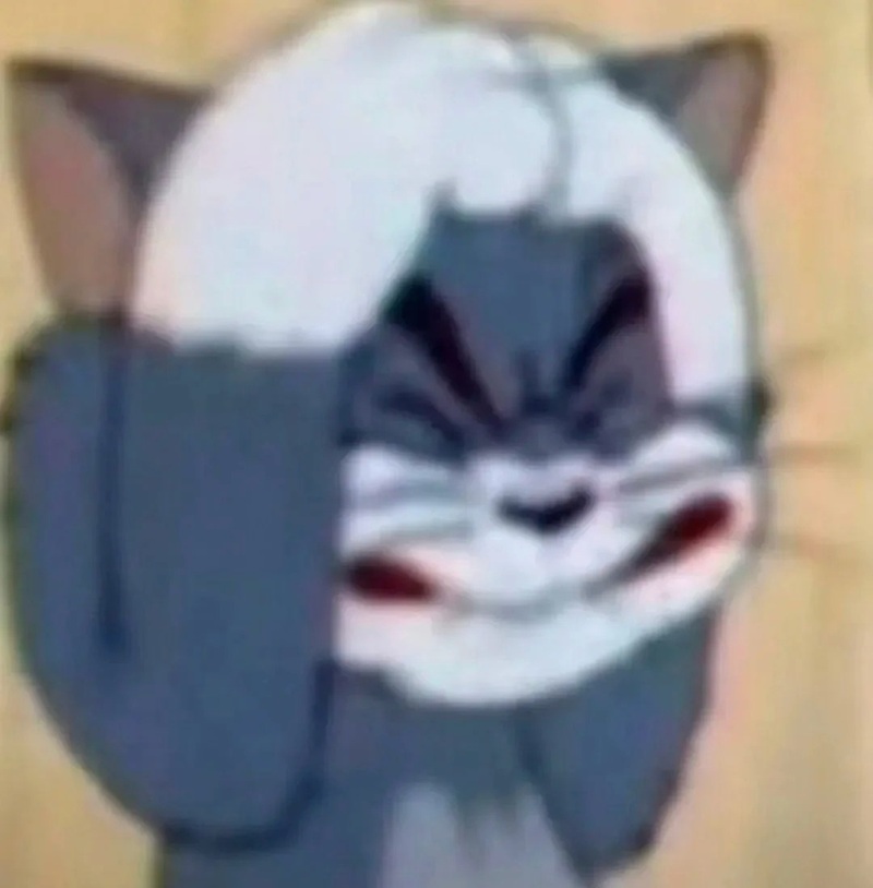 meme mèo ôm đầu 26