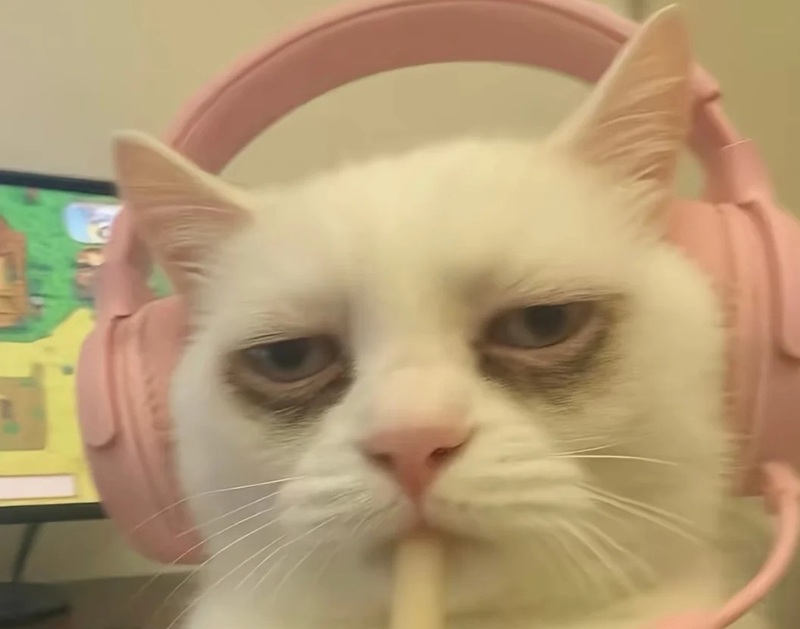 meme mệt mỏi 1