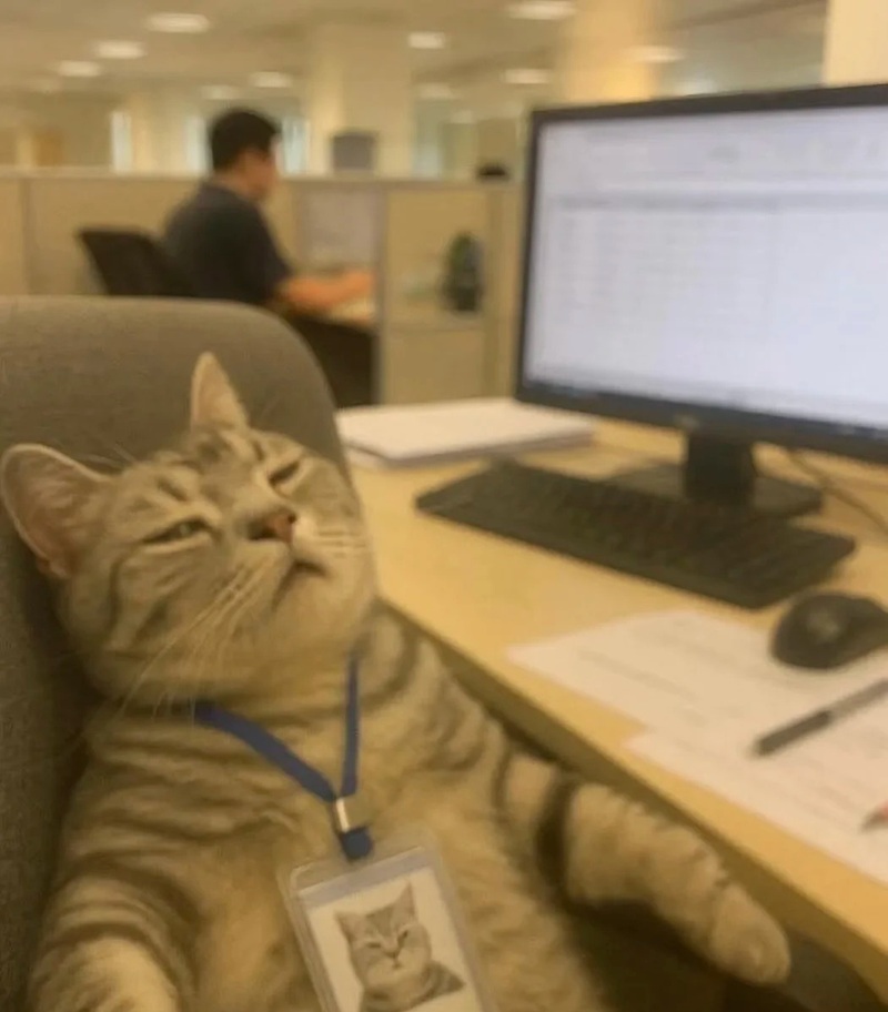 meme mệt mỏi 15
