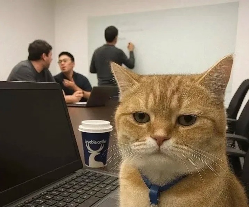 meme mệt mỏi 16