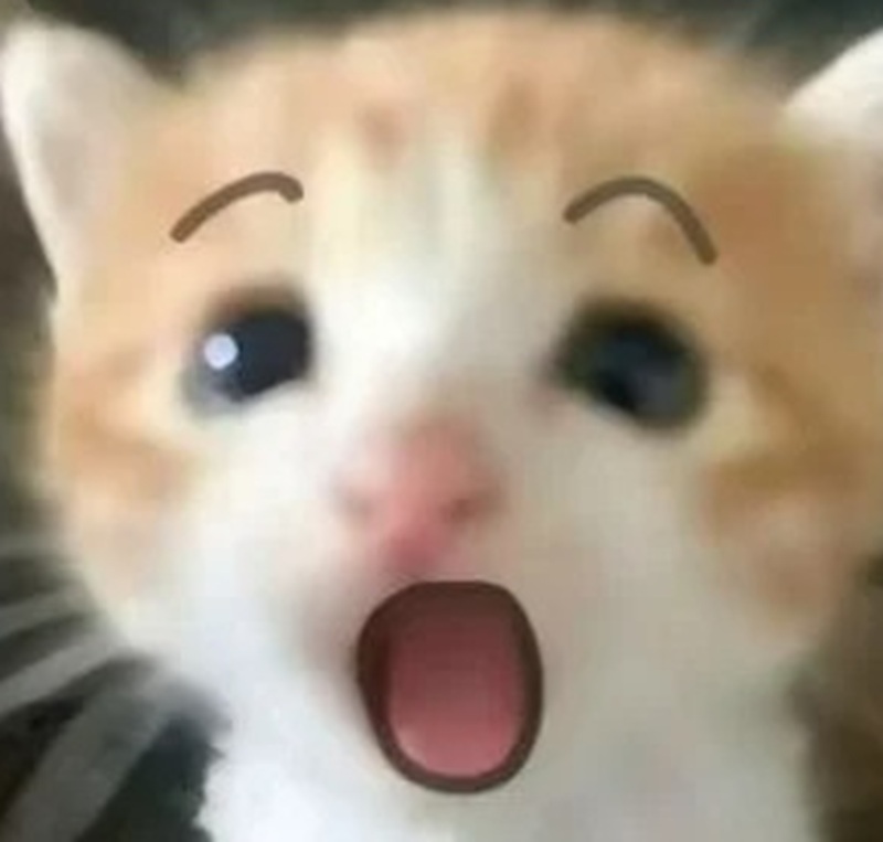 meme ngạc nhiên 23