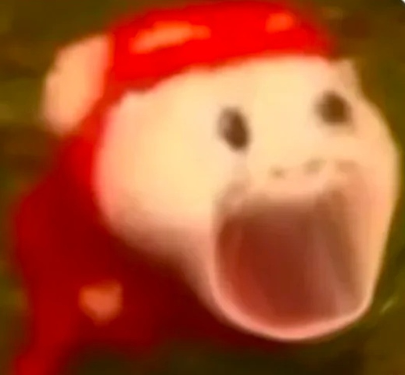 meme ngạc nhiên 38