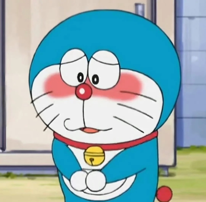 meme ngại 11