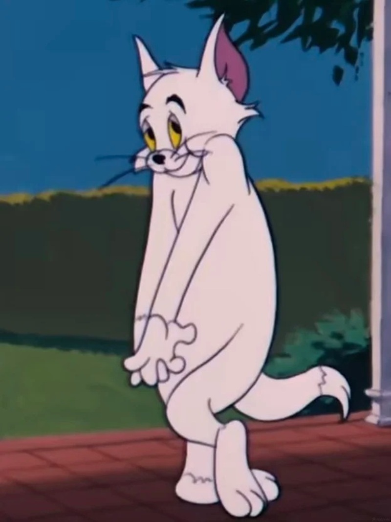 meme ngại 31