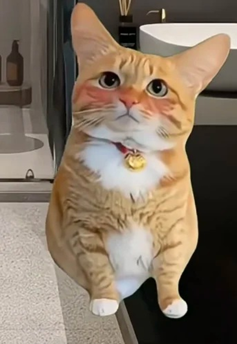 meme ngại ngùng 28