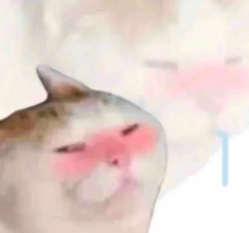 meme ngại ngùng 7