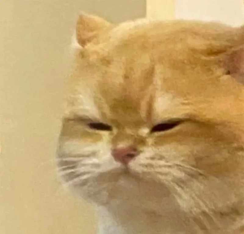 meme nghi ngờ 1