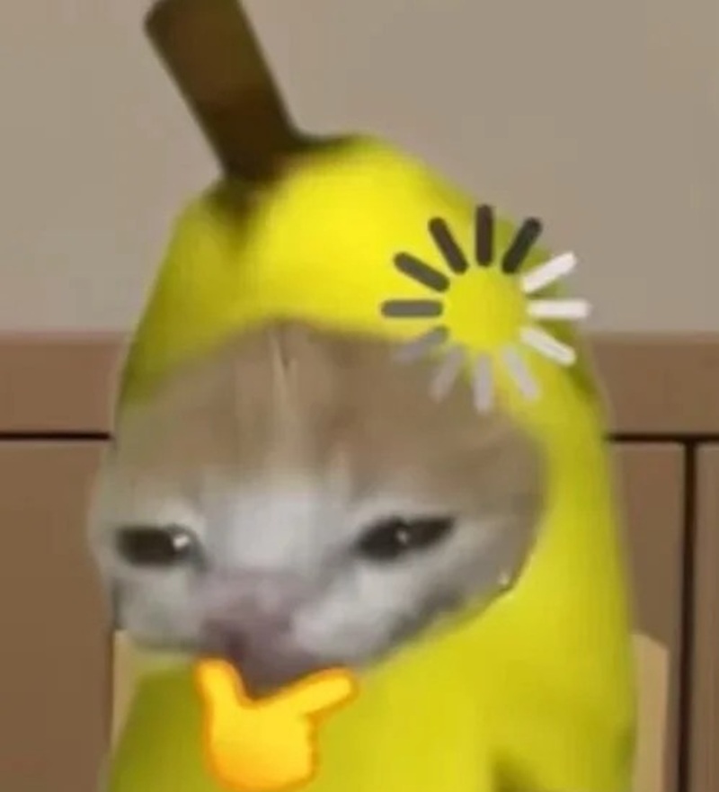 meme nghi ngờ 2