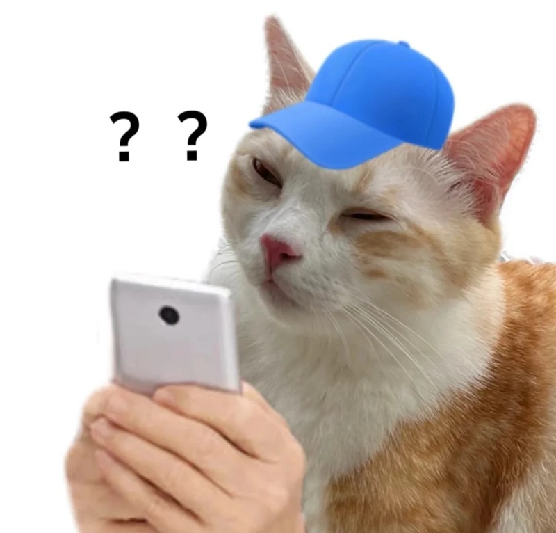meme nghi ngờ 28