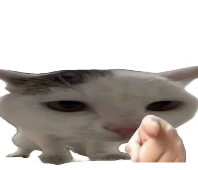 meme nghi ngờ 30