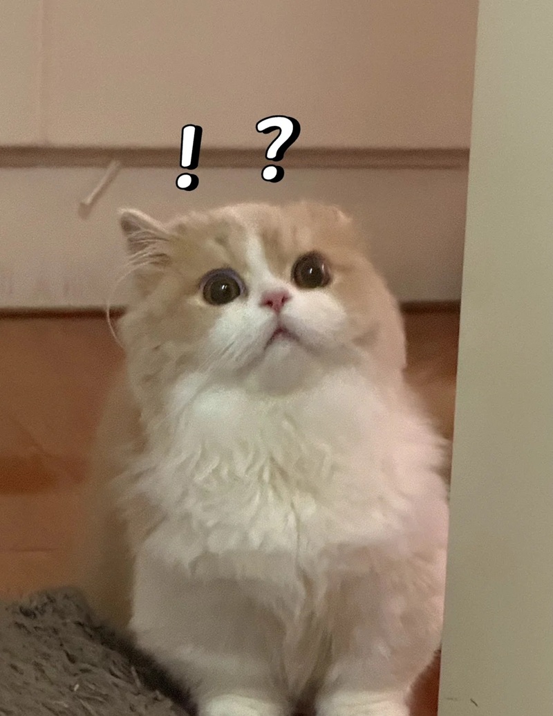 meme nghi ngờ 40