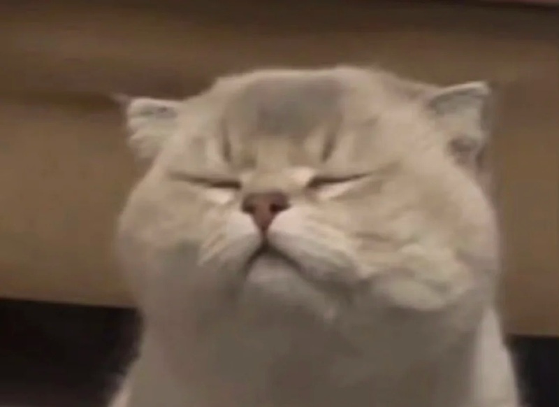 meme nghi ngờ 9