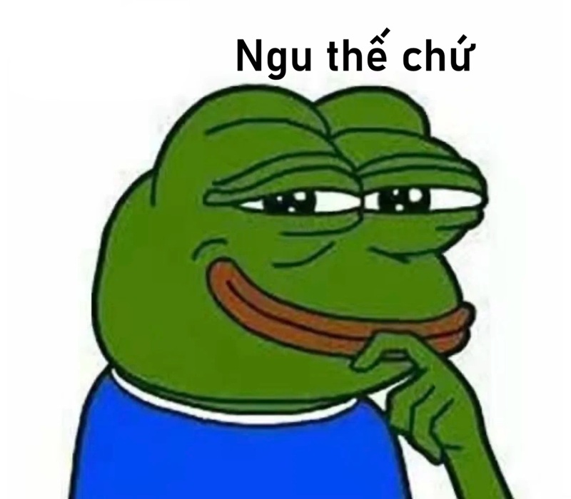 meme ngu 1