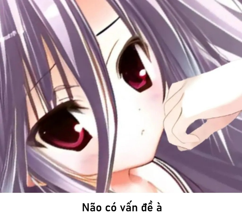 meme ngu 11