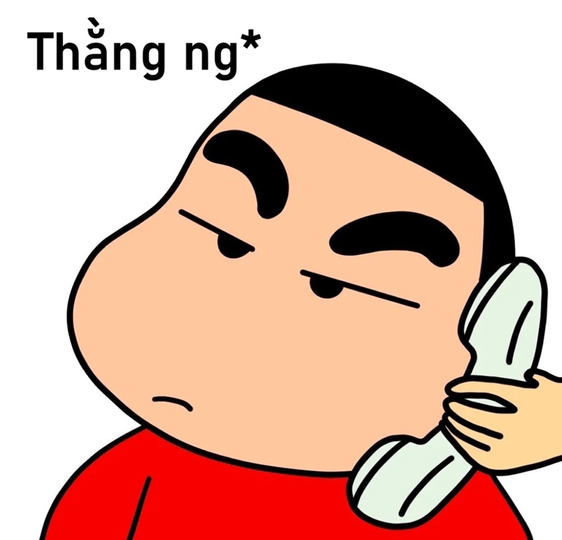meme ngu 12