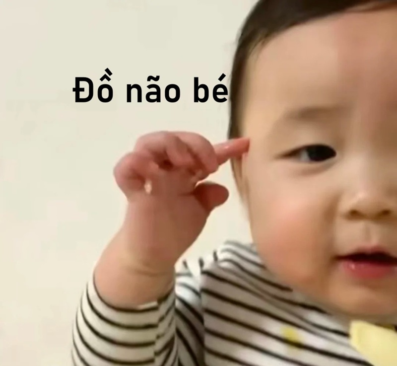meme ngu 16