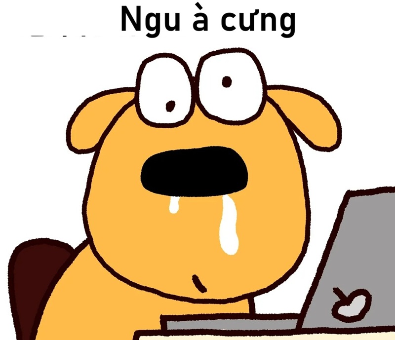 meme ngu 18