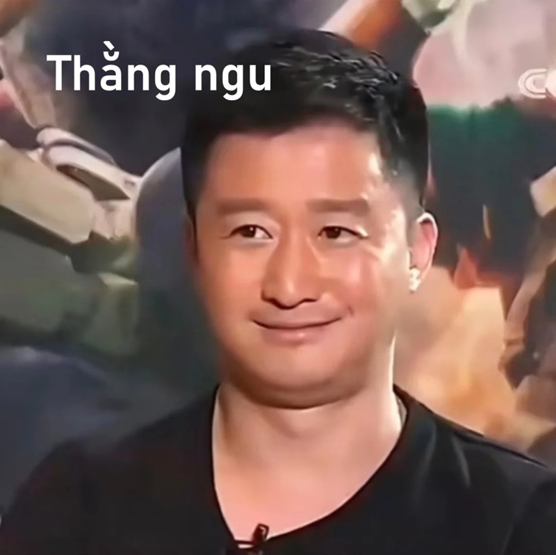 meme ngu 2