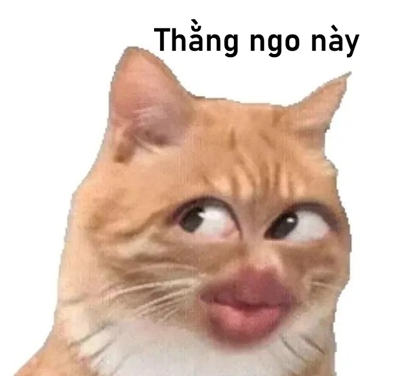 meme ngu 20