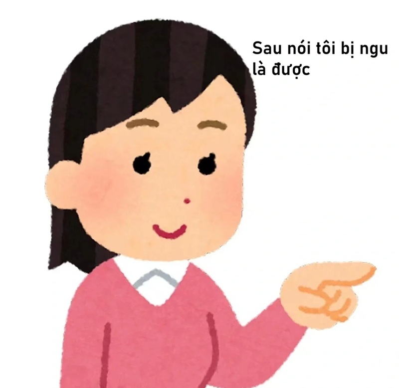 meme ngu 21