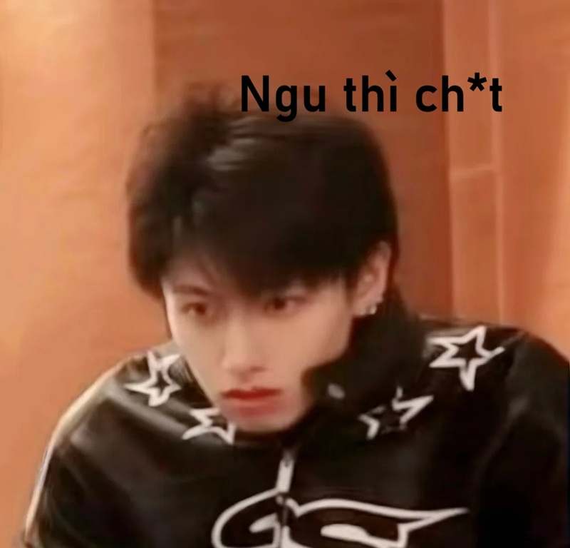 meme ngu 22