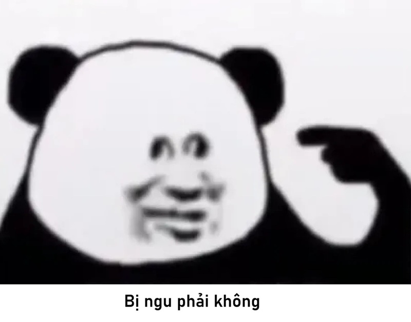 meme ngu 24